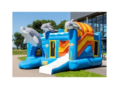 Location multiplay dauphin à Lyon