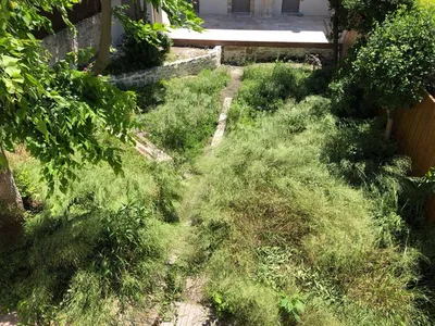 Création d’un jardin unique dans le Vaucluse et les Alpilles, mêlant végétaux, fontaine moderne et copeaux de bois pour un extérieur raffiné