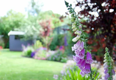 Paysagiste expert en réalisation de jardin à l’anglaise dans le Vaucluse