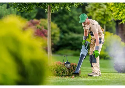 Entretien de jardin service à la personne dans les Alpilles