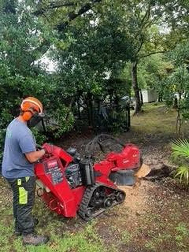 Grignotage de souches sur mesure près de Mézos pour l’aménagement paysager tout en sécurité de votre terrain