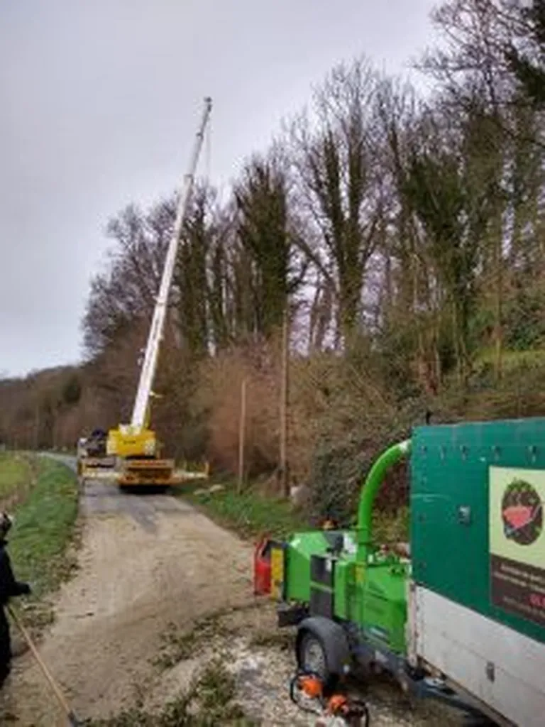 Abattage d’arbres avec grue 60 tonnes à Ganzeville (76400)