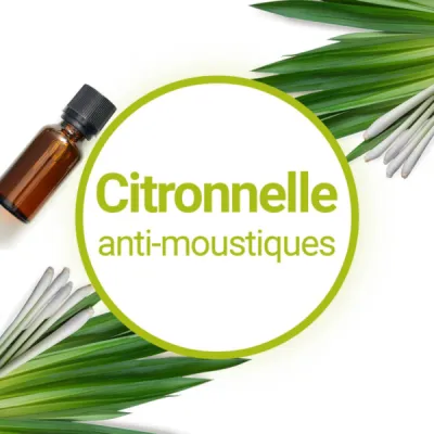 Huiles essentielles de citronnelle Bio : La solution naturelle pour éloigner les moustiques à Belleville-en-Beaujolais, Rhône 69