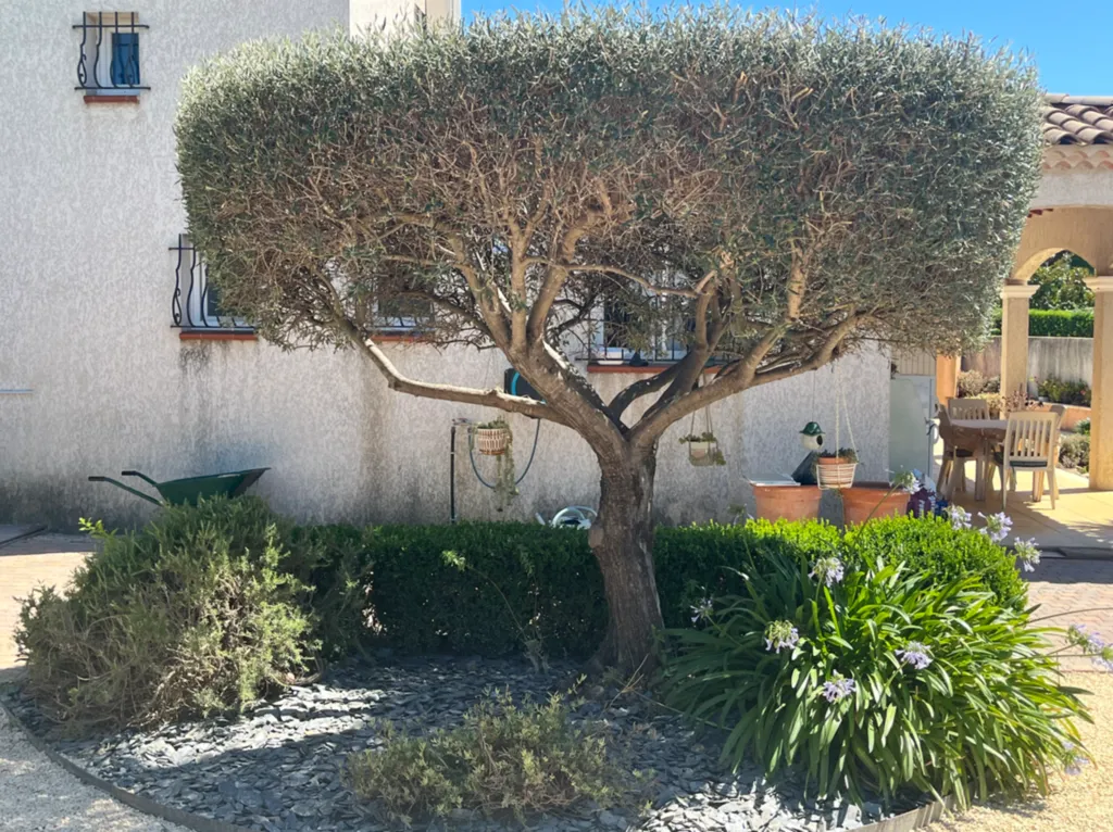 installation goutte-à-goutte programmable Bluetooth paysagiste près de toulon dans le var