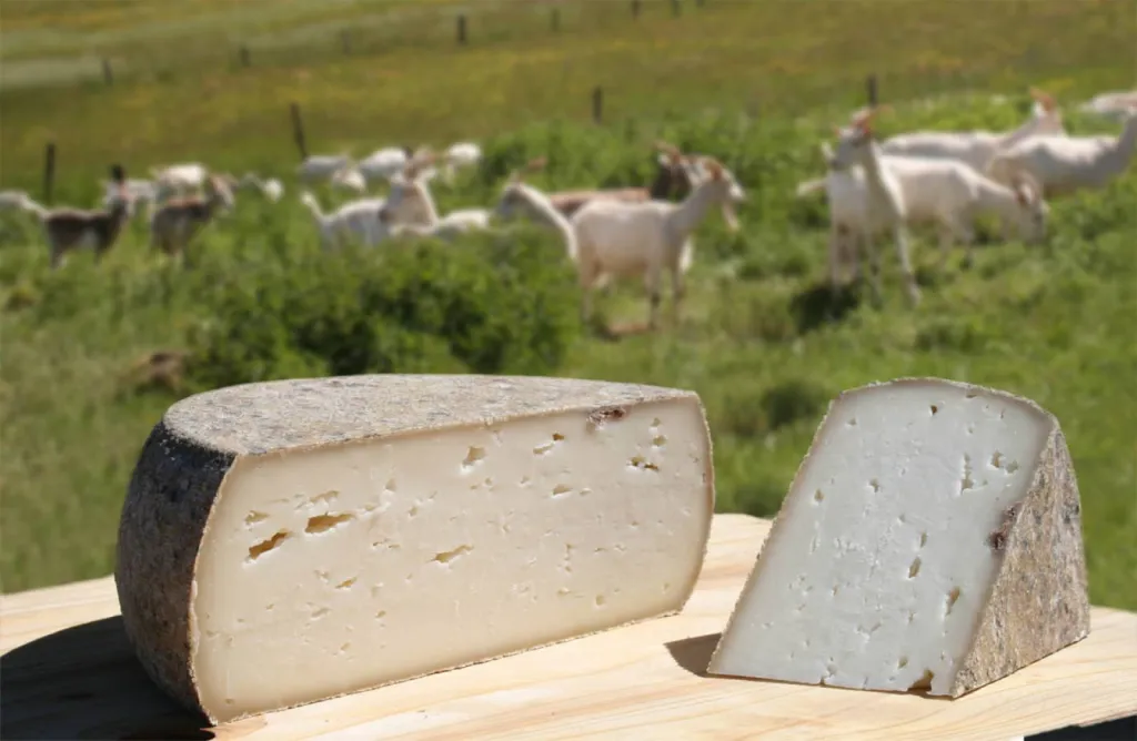 Notre zone d'activité pour ce serviceFabricant de fromage sans lactose pour collectivité à