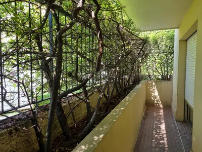 Vue intérieure avant intervention avec haie dégarnie à Nice