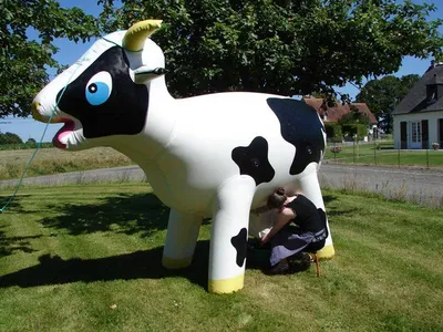 Location vache géante gonflable à traire