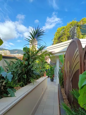 Amazonico - Plantes exotiques