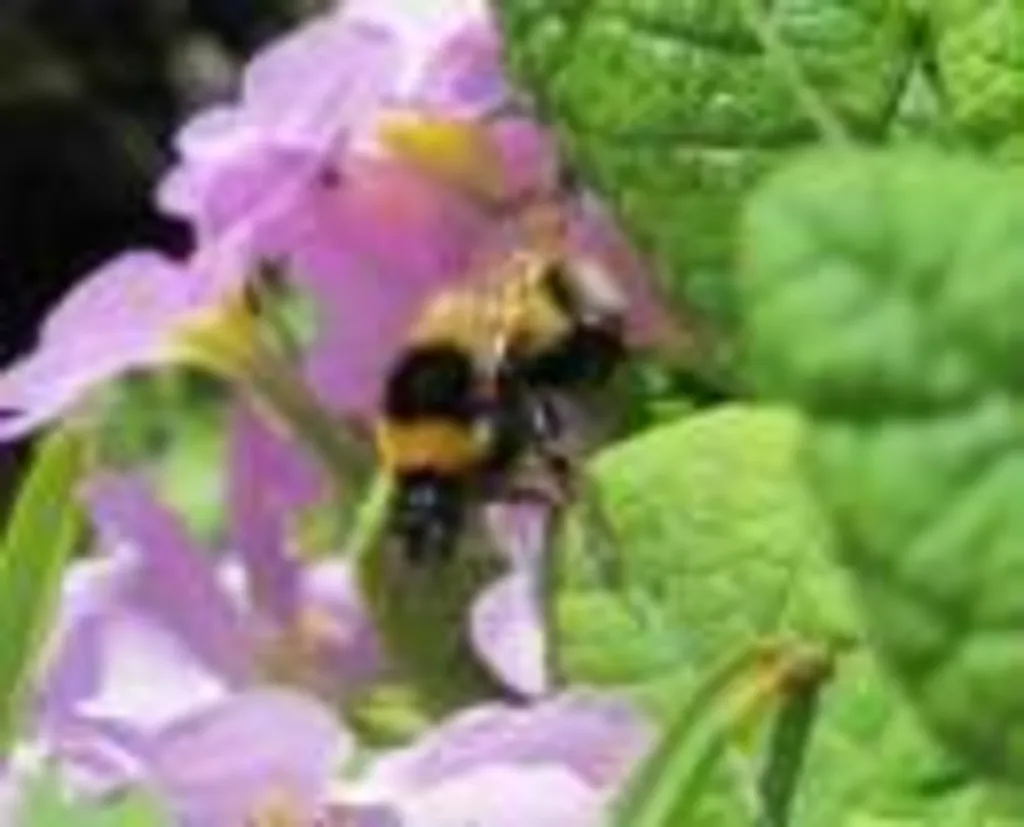 Création d'un jardin écologique à Pont Audemer dans l'Eure