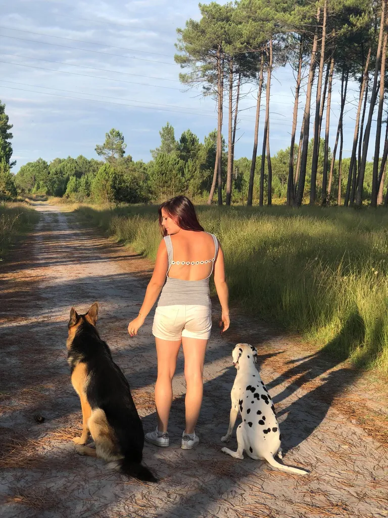 Formation qualiopi éducateur Canin comportementaliste