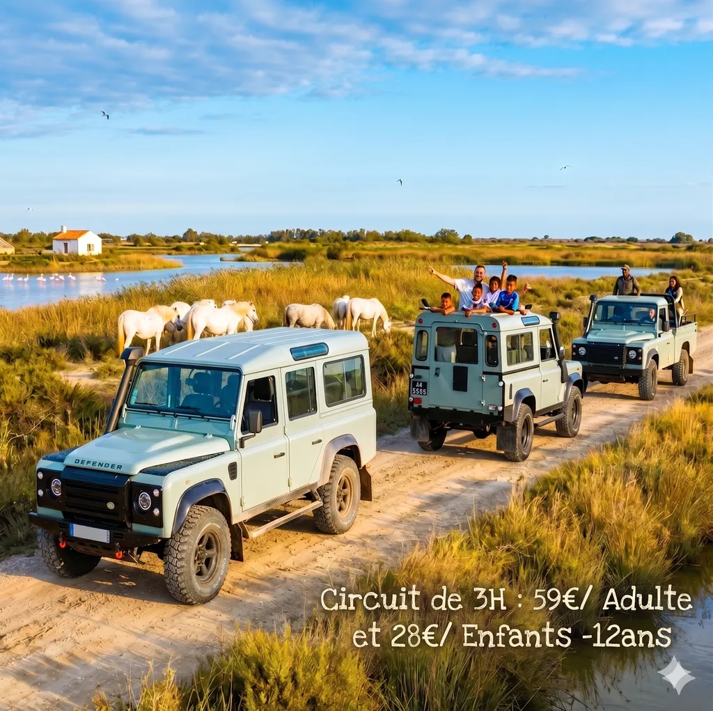 Activité loisir en découverte EN 4X4 DANS LES SAINTES MARIE DE LA MER