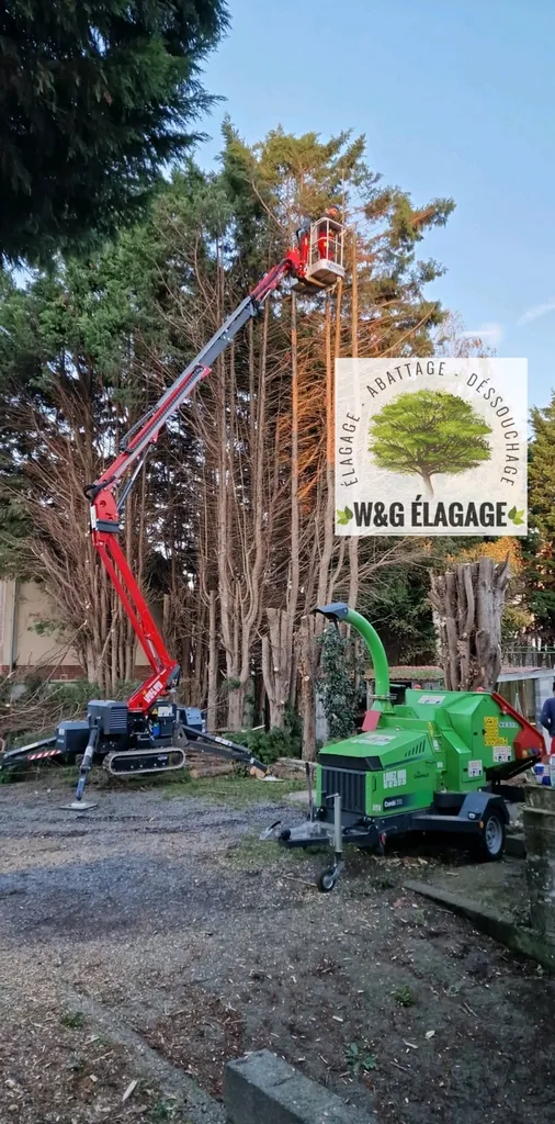 Elagueurs, entreprises d'abattage d'arbres à Blanquefort