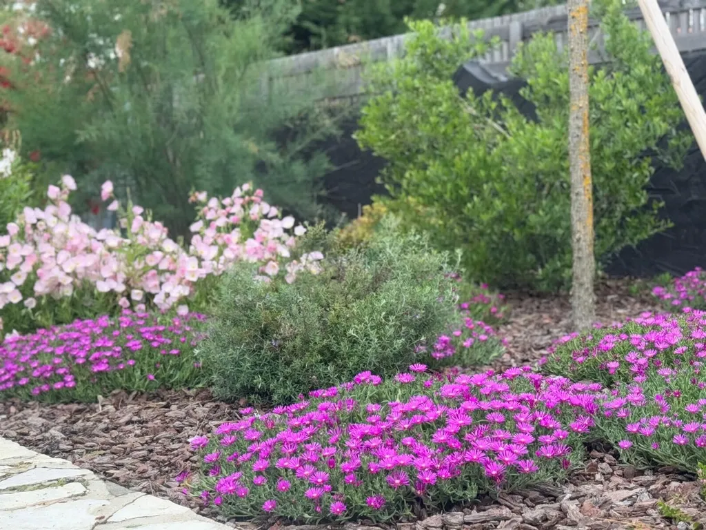 Création de massif paysager avec paillage et plantes variées à Mimizan