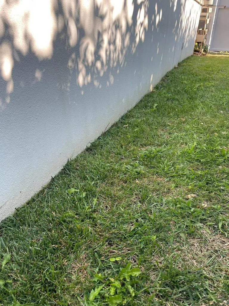 Détecteur de mouvement Ajax système d'alarme anti-intrusion