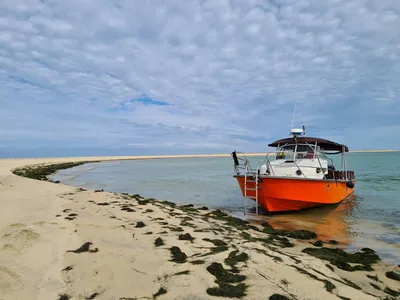 EVG au Cap-Ferret - Bassin d’Arcachon