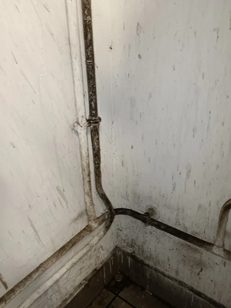 Traitement contre les souris dans un magasin situé dans une zone industrielle de Rillieux-la-Pape