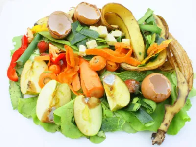 Réduction des déchets alimentaires des cantines, et de la restauration collective