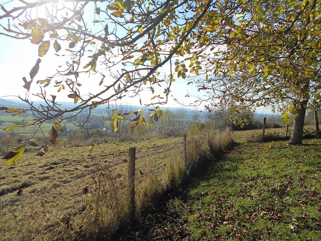 A vendre Charmante maison Normande Lisieux 14