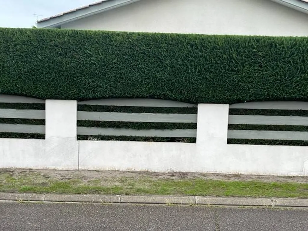 Taille une haie de cyprès pour une propriété située près d’Ychoux