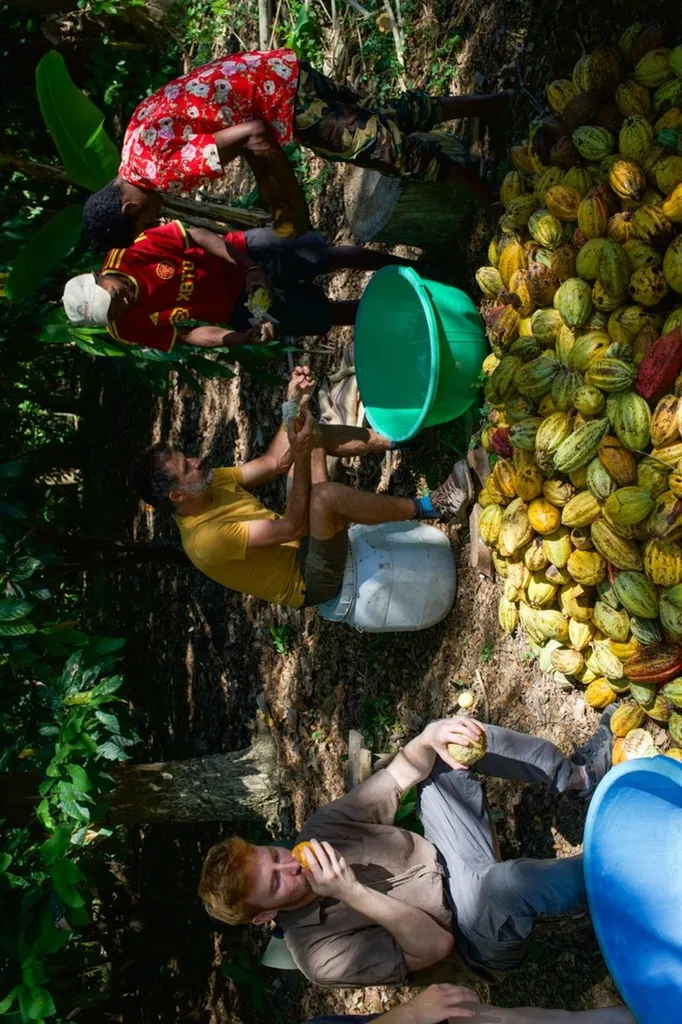 De Madagascar à Marseille, l’histoire d’un chocolat d’exception né d’un amour pour la terre et les hommes