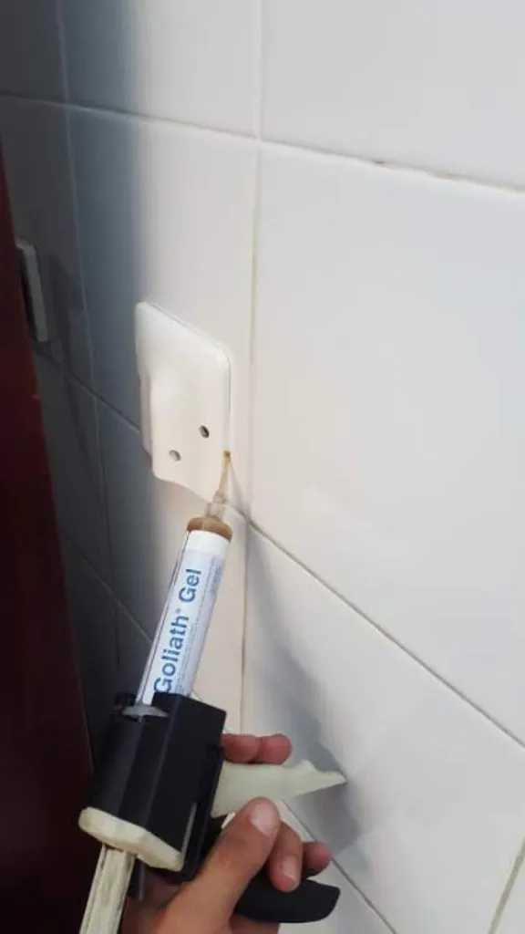 désinsectisation restaurant à aubagne 13400