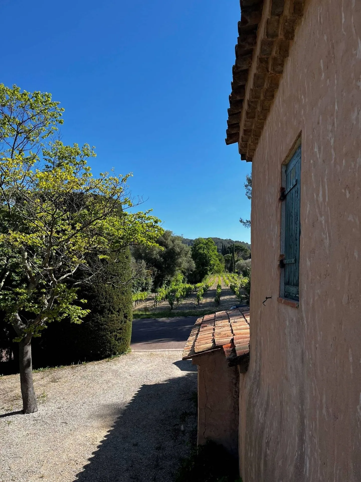 Cassis dans les vignes - Mas provençal avec piscine bénéficiant d'une vue campagne exceptionnelle   