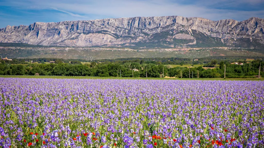 hotel vue sainte victoire
