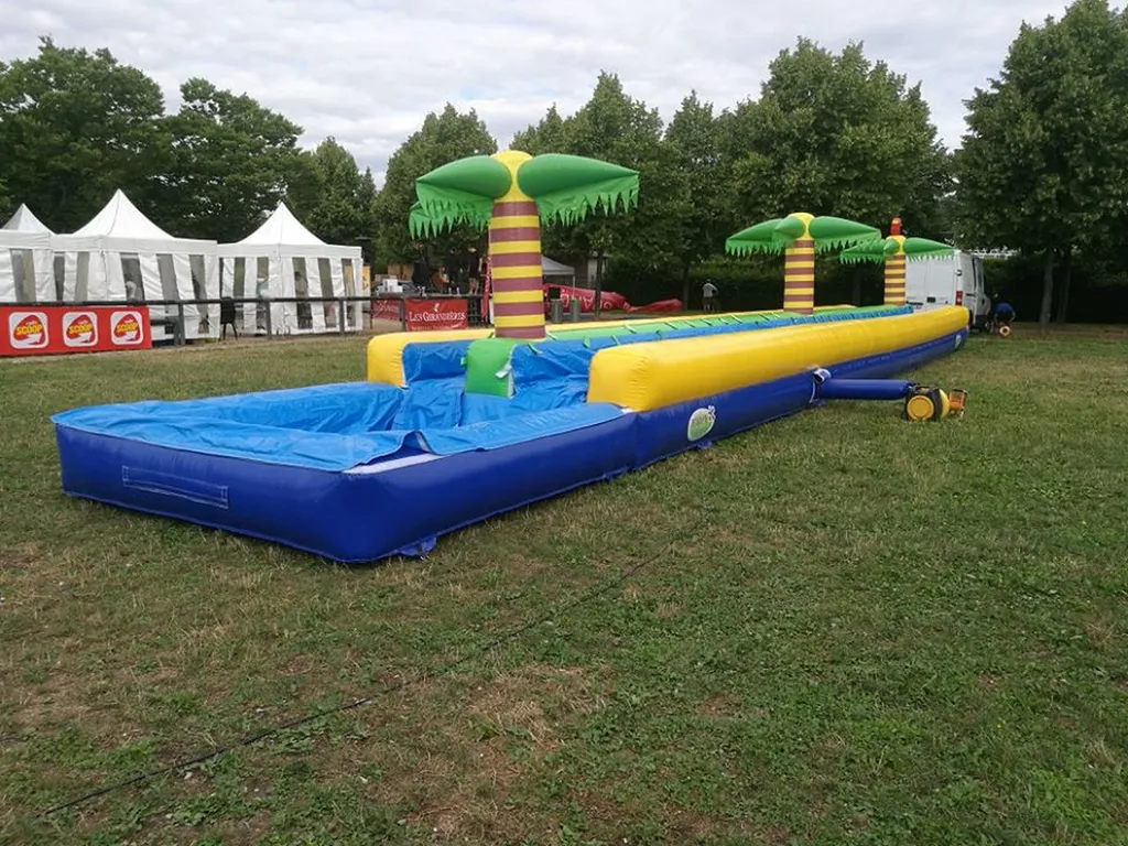 LOCATION VENTRIGLISSE PALMIER LYON