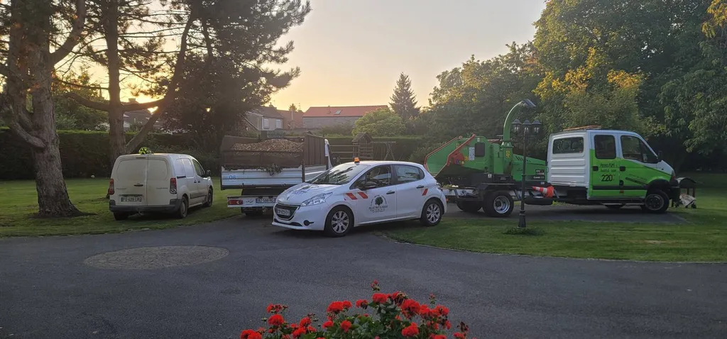 W&G Élagage & Abattage d'arbre : Votre expert en élagage et abattage d'arbres à bordeaux !