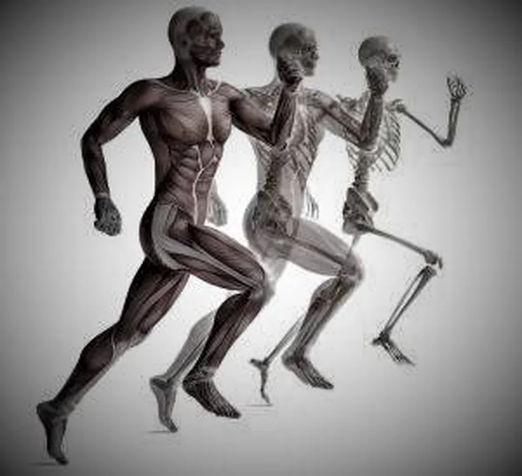 Suivi et accompagnement du sportif en ostéopathie à Lyon