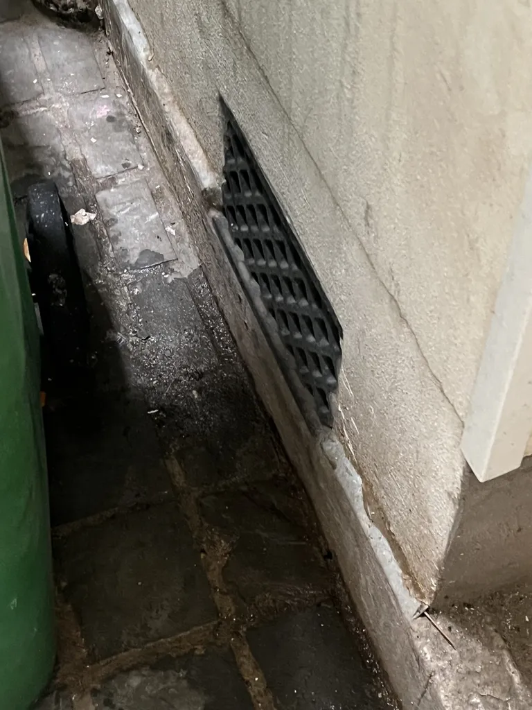 Problème de souris dans une cave à Aubagne - Bouches du Rhones