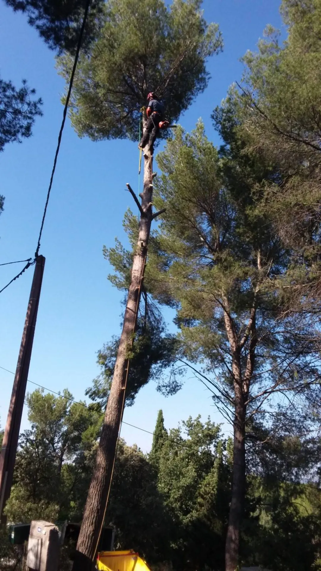 Abattage et elagage d'arbres à Ventabren 13122