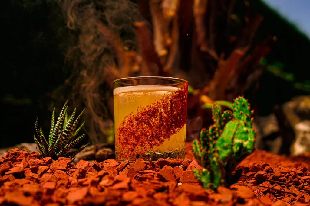 Shooting photo pour une carte d'un bar éphémère à Montauban