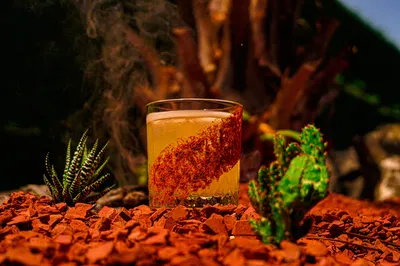 Shooting photo pour une carte d'un bar éphémère à Montauban