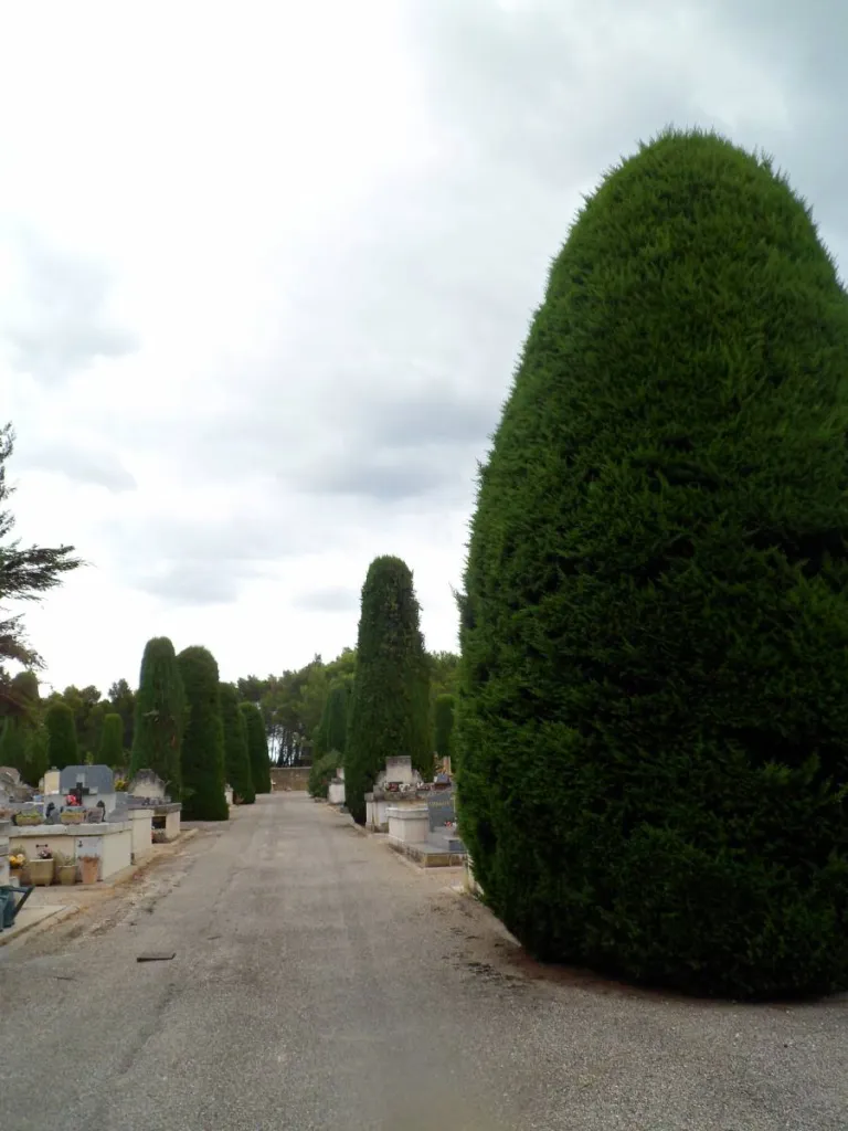 Nos prestations sur le secteur deSaint-Rémy-de-Provence 13