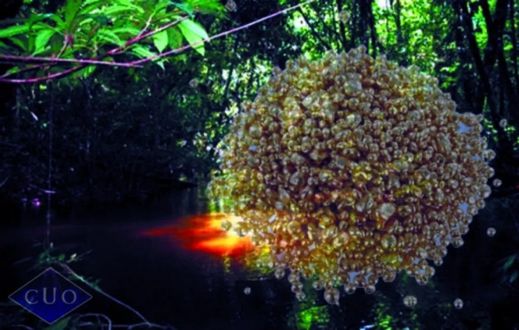 Le rachat d'or , le recyclage et la protection de la biodiversité