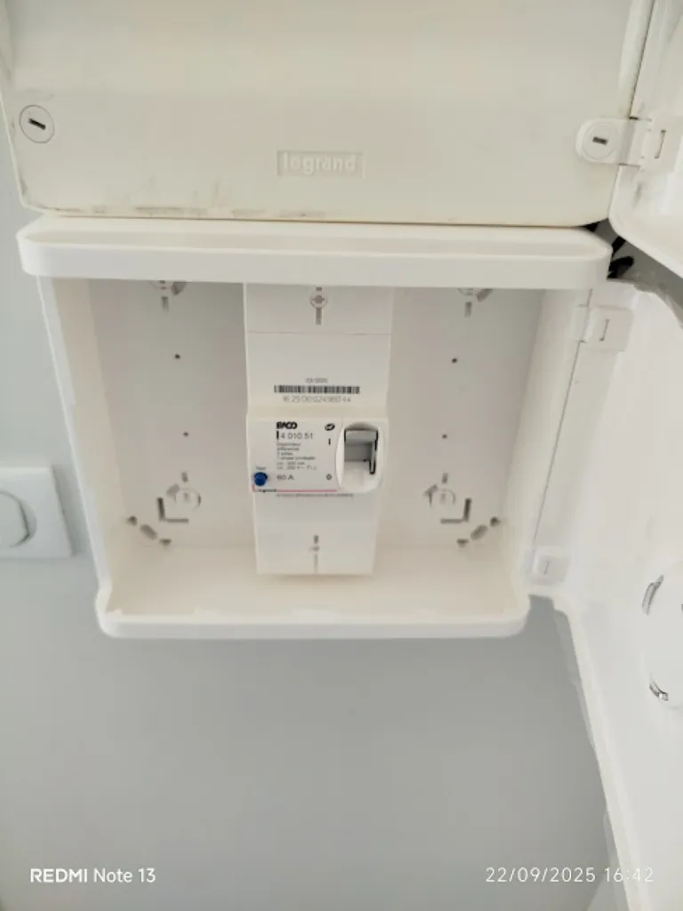 Pose d'un disjoncteur différentiel  EDF 60A 500mA avec porte à Montpellier