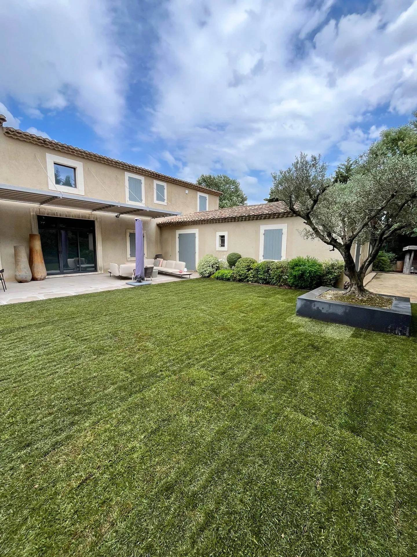 Olivier avec socle décoratif à Aix-en-Provence 13090, dans les Bouches-du-Rhône, pour un extérieur élégant