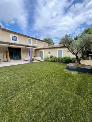 Olivier avec socle décoratif à Aix-en-Provence 13090, dans les Bouches-du-Rhône, pour un extérieur élégant