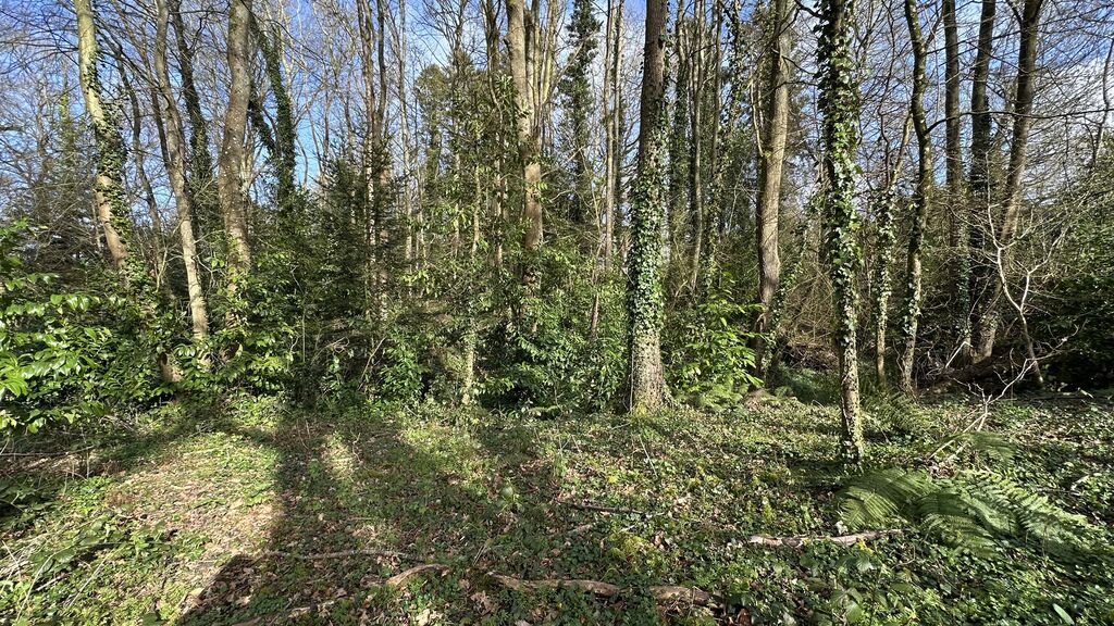 terrain constructible Pourville sur mer