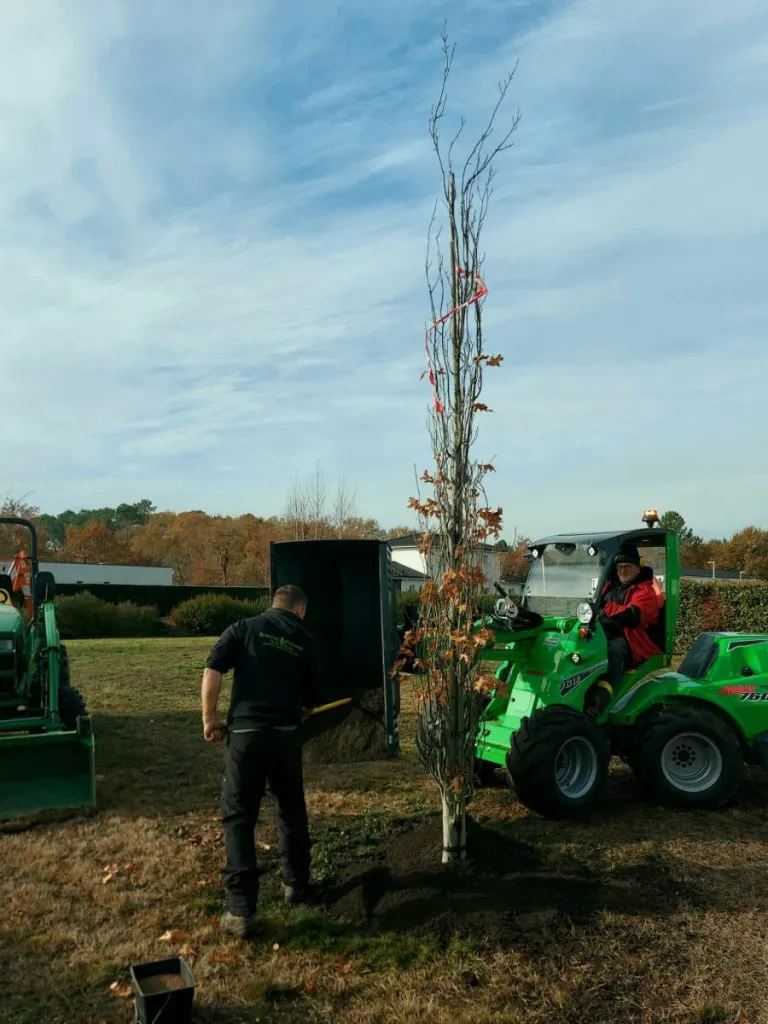 Plantation d'un arbre dans un lotissement à Saint Aubin de Médoc