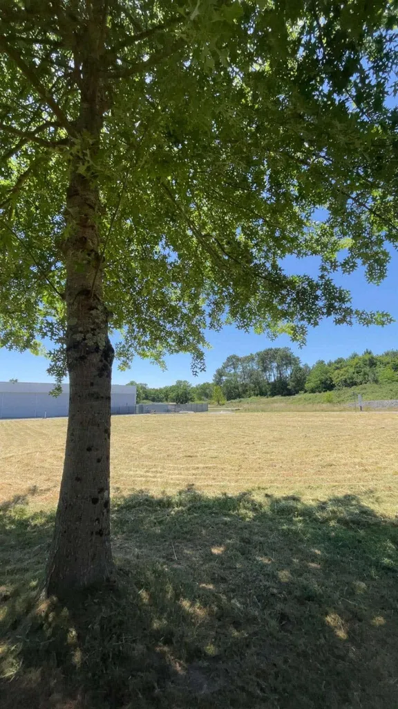 Débroussaillage d'un terrain par Elagage et Paysage