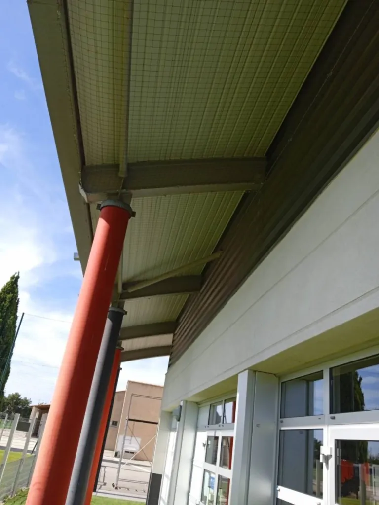 filet pigeon istres efficcace