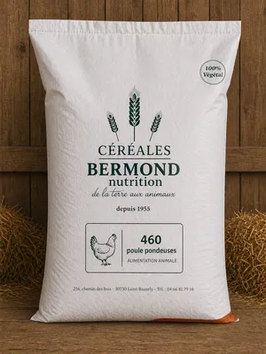 460 poules pondeuses Bermond nutrition contrôle du poids ponte régulière alimentation équilibrée volaille basse-cour performance qualité