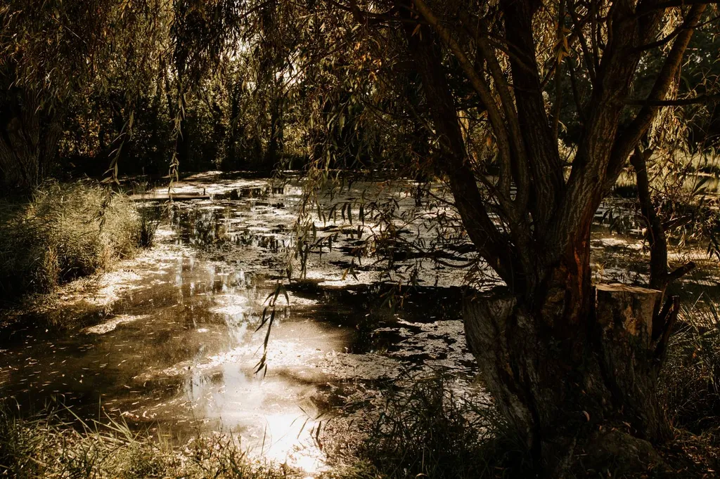 Louer un Domaine pour organiser votre mariage en extérieur à Aix en Provence