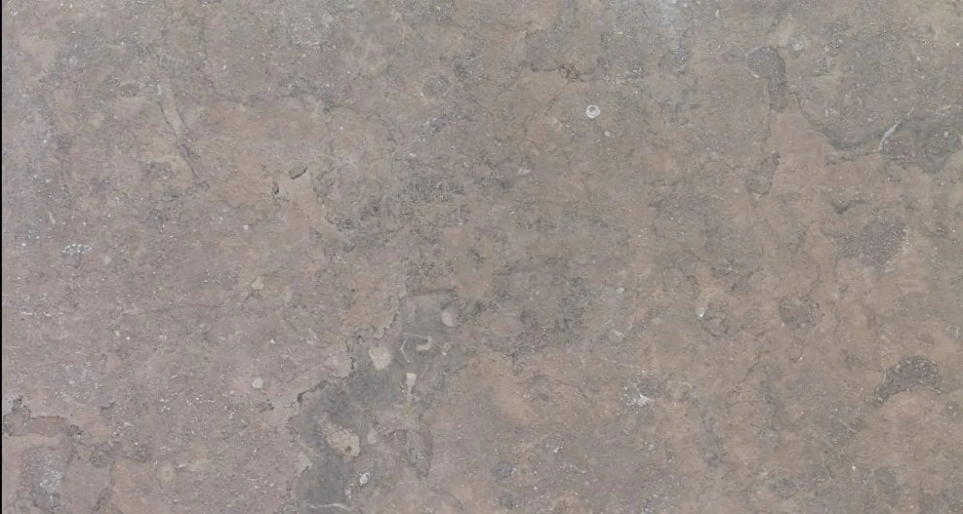 Cèdre Brown – Marbre marron et kaki pour sols et aménagements intérieurs et extérieurs