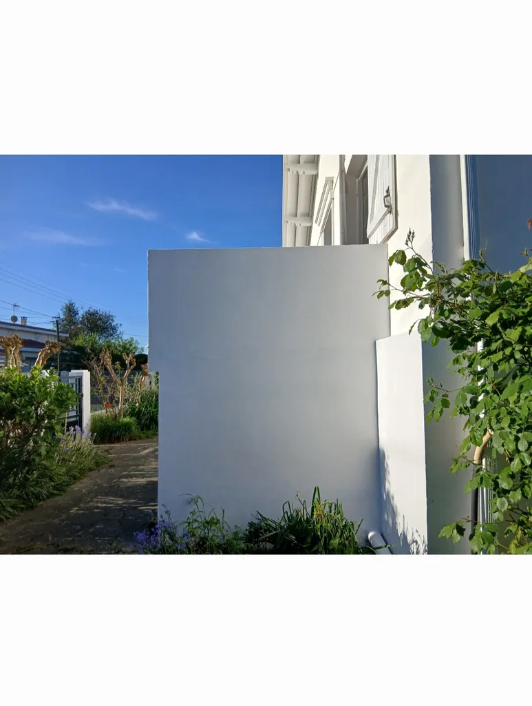 Restauration et mise en peinture d'un mur extérieur : de la réparation aux finitions.