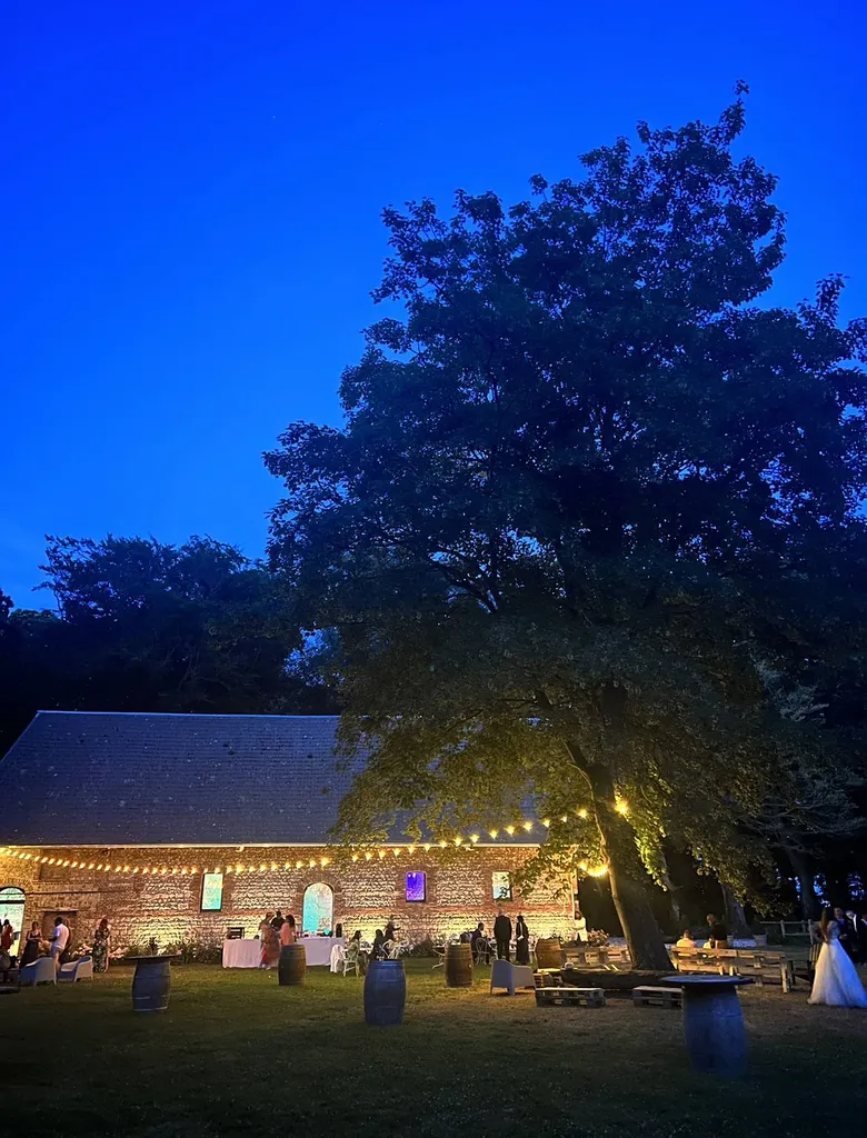 location de guirlande lumineuse pour mariage