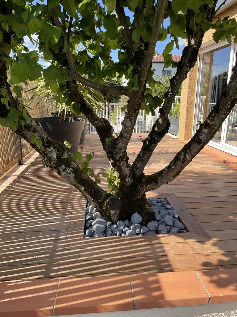 Faire ma terrasse en bois ? Mais quelle orientation ?