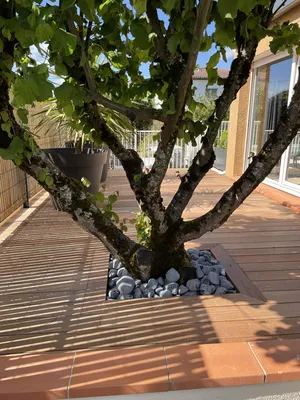 Faire ma terrasse en bois ? Mais quelle orientation ?